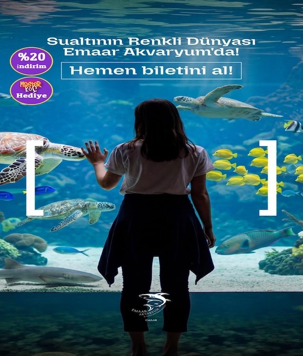 AKTİVİTE