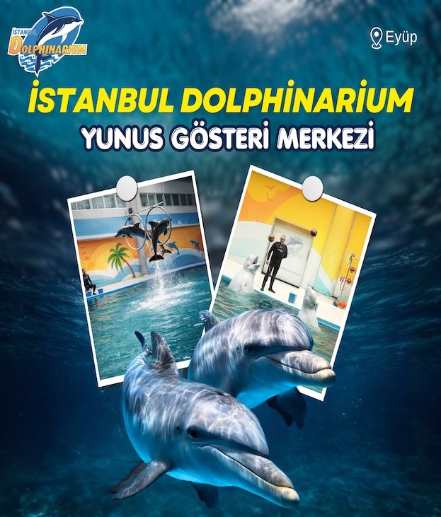 ETKİNLİK