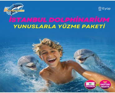 İstanbul Dolphinarium 10 Dakikalık Yunuslarla Yüzme veya Tanışma Paketi